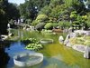 San Mateo Japanese Tea Garden
