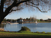 Shoreline Park and Lake